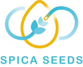 Spica Seeds